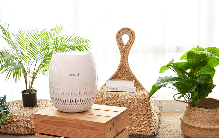 Avari EG Air Purifier with 4-Stage Embossed HEPA Filter, Carbon