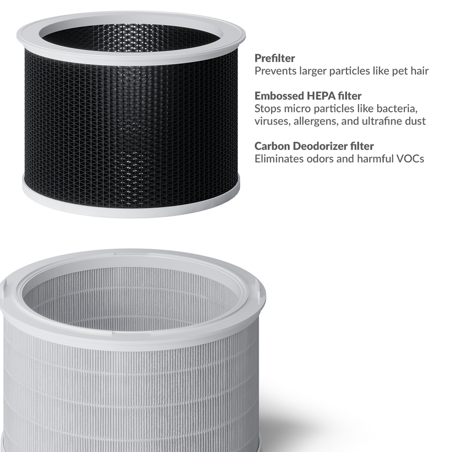 Air purifier online vs filter